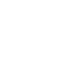 Snowflake Icon