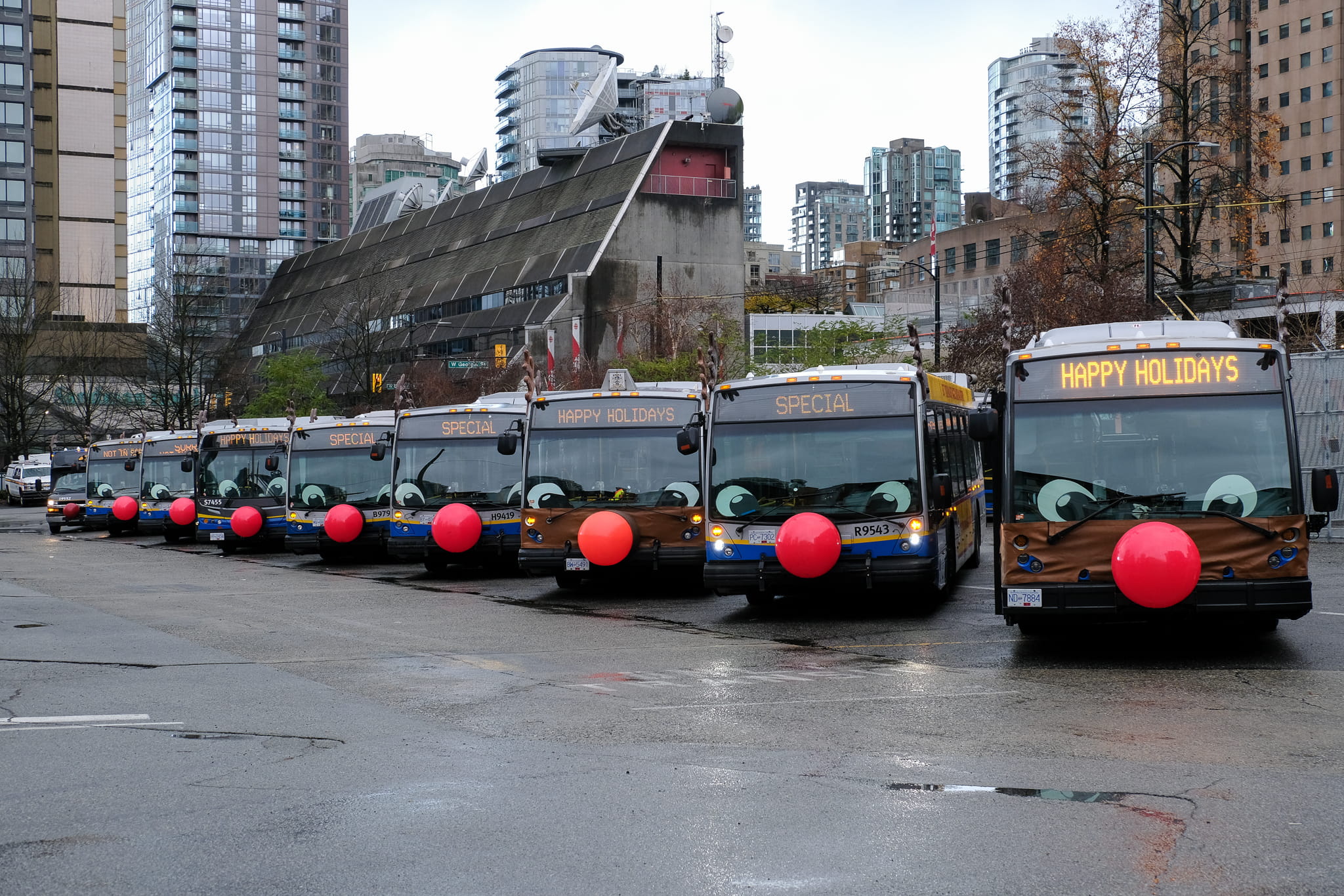 Fleet of the Reindeer Bus