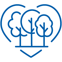 TransLink icon