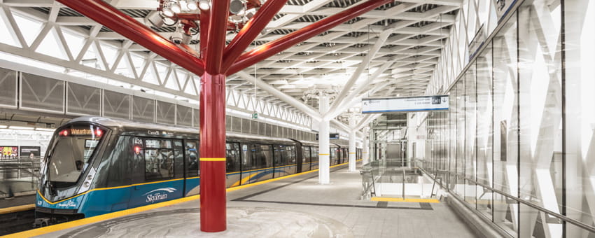 Rule of the Trees Project