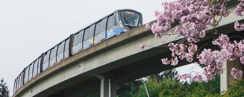 SkyTrain on raised track with spring blossoms on tree in foreground  