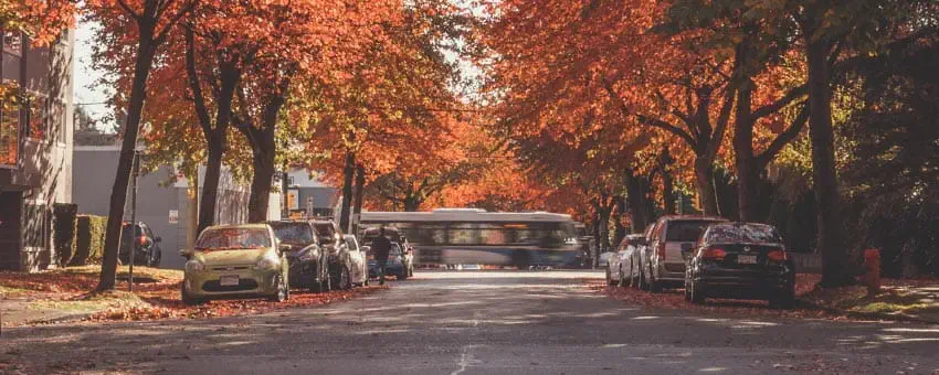 TransLink Bus in Autumn
