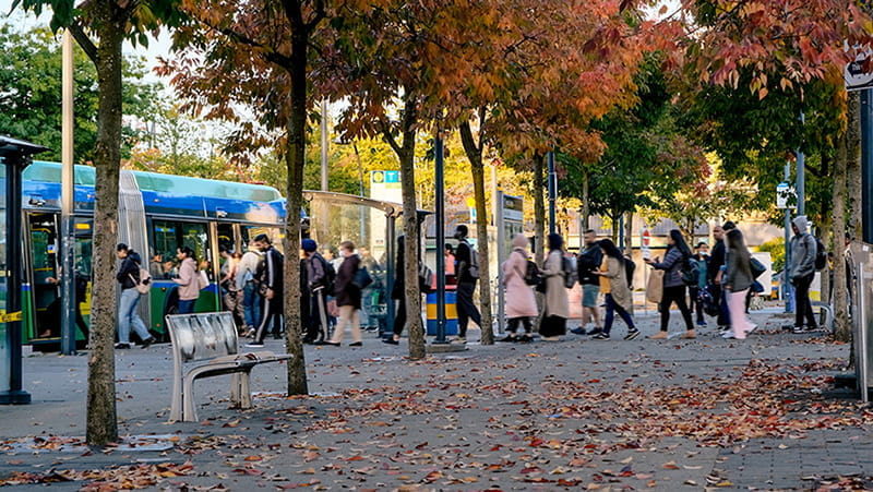 A person waiting for the bus below the Canada Line tracks at Marine Drive station.