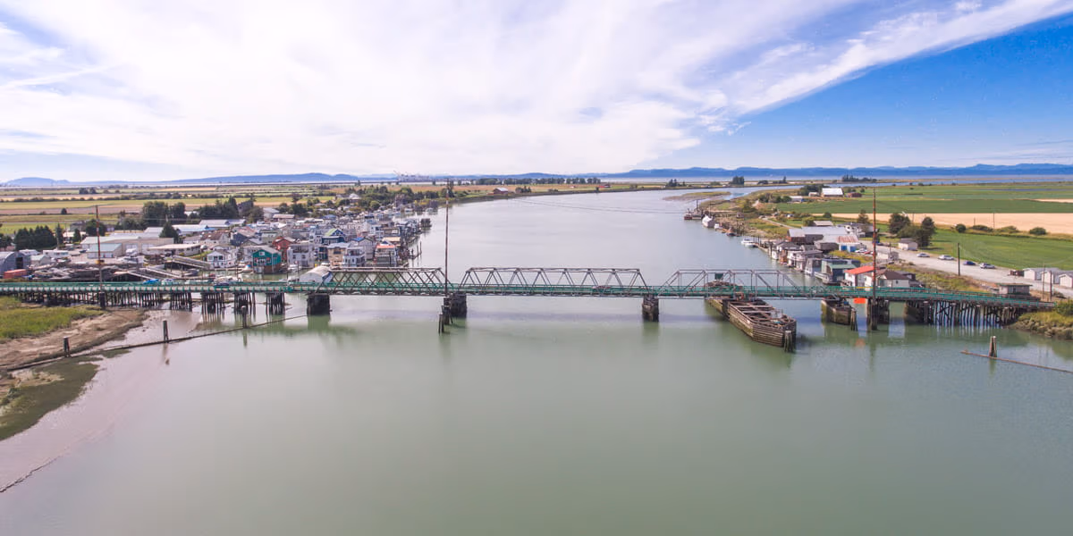 Westham Island Bridge pictured from above with surrounding farmland and housing.