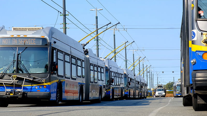 TransLink Trolley Buses stationed along the roadside