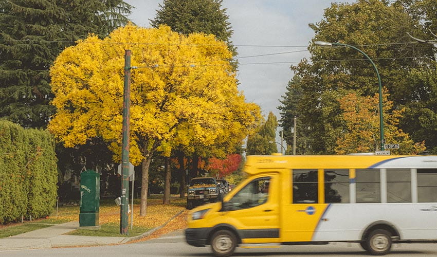 A TransLink HandyDART drives through a residential neighborhood with vibrant autumn foliage.
