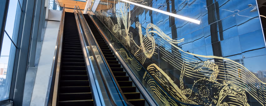 The Breath Below by Howie Tsui