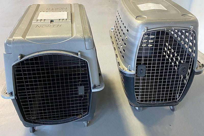 Two spacious pet crates available for customers boarding with their pets
