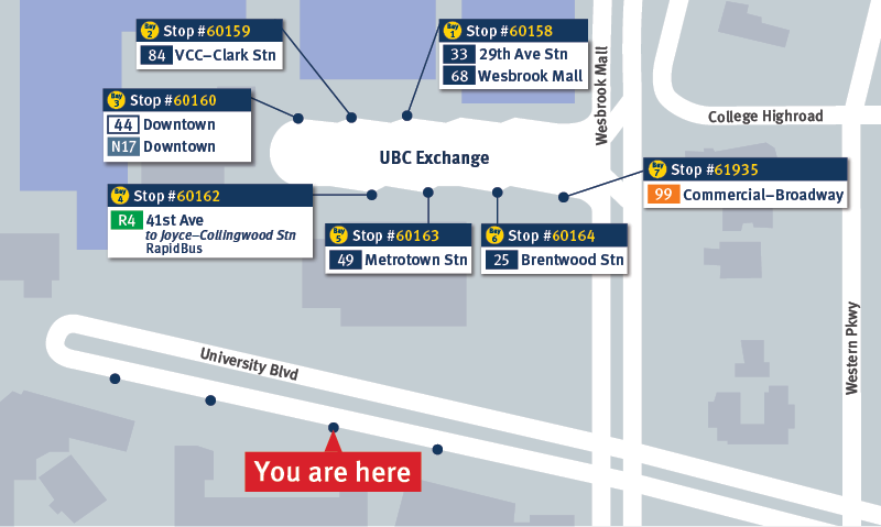Spring Service Change map - route N17 bus bay at UBC