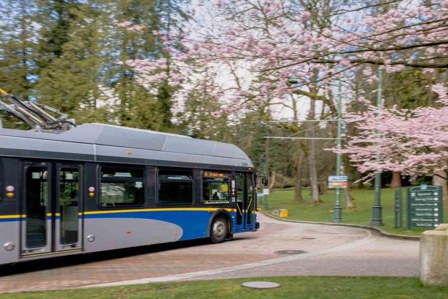 Bus driving into Stanley Park with cherry blossoms